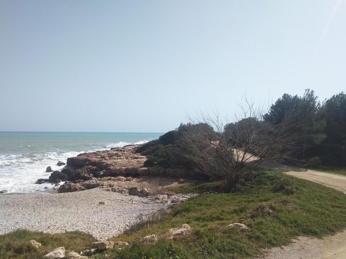 Apartamentos Edison 3000 Peñíscola Εξωτερικό φωτογραφία